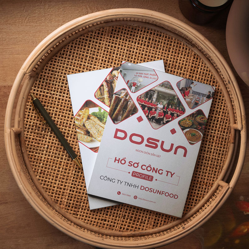 DOSUN 01