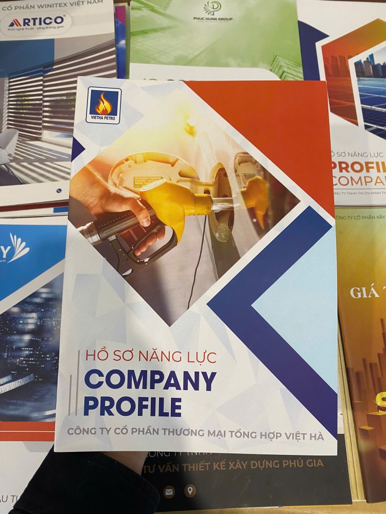 Dịch vụ In ấn theo yêu cầu chuyên nghiệp, chất lượng cao, giá tốt toàn quốc 20 Thành phẩm in ấn hồ sơ năng lực công ty Việt Hà