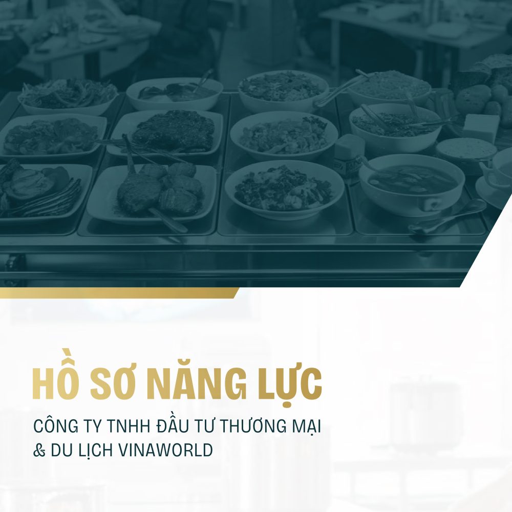 Du an ho so nang lucprofille Cong Ty Dau Tu Va Thuong Mai Vinaworld 1