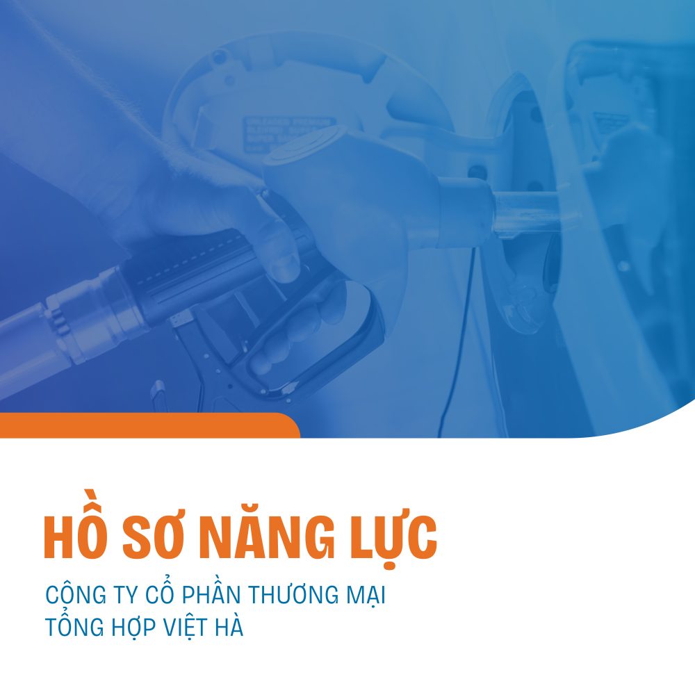 Mau du an ho so nang luc profile cong ty cong ty co phan thuong mai Viet Ha do Layka thuc hien 1