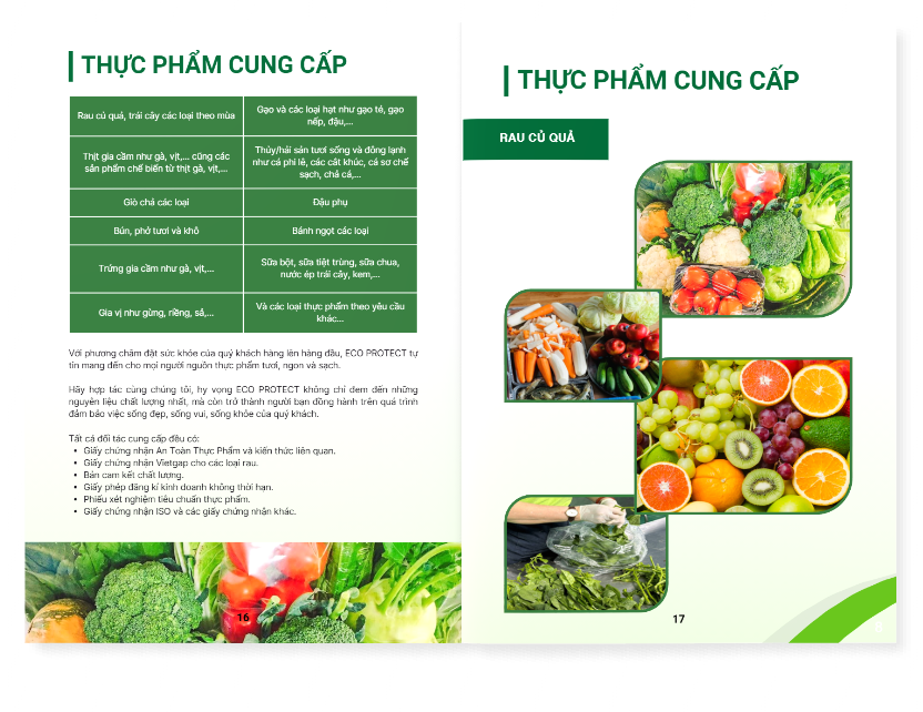 Mẫu thiết kế hồ sơ năng lực công ty cổ phần dịch vụ Eco Protect 2