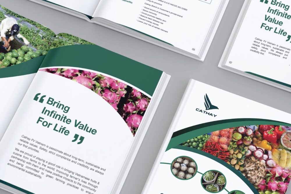 Tổng Hợp 15+ Mẫu Thiết Kế Profile Công Ty Nông Nghiệp Mẫu Thiết Kế Hồ Sơ Năng Lực Ngành Nông Sản (10)