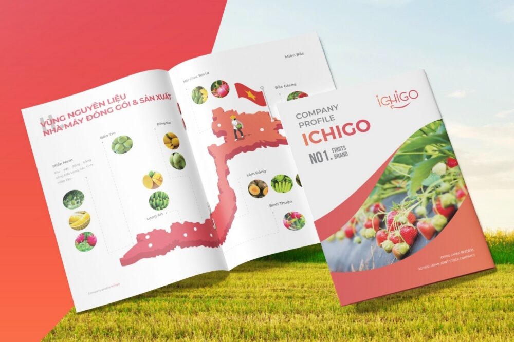 Tổng Hợp 15+ Mẫu Thiết Kế Profile Công Ty Nông Nghiệp Mẫu Thiết Kế Hồ Sơ Năng Lực Ngành Nông Sản (7)