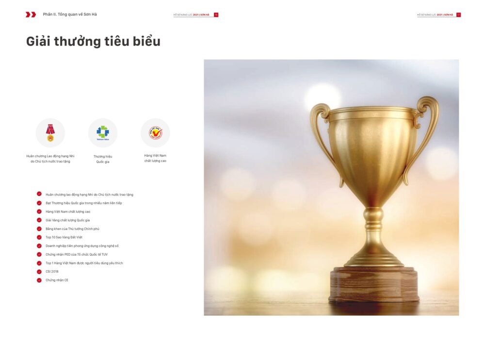 Tổng hợp 20+mẫu thiết kế profile công ty năng lượng mặt trời Dự án hồ sơ năng lực ngành solar (34)