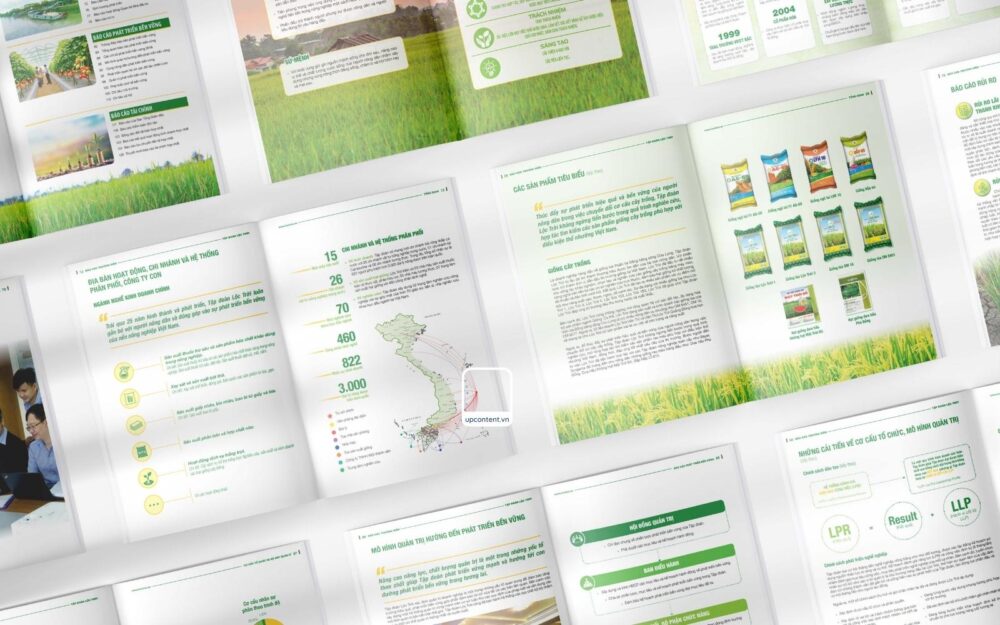 Mẫu thiết kế hồ sơ năng lực công ty thực phẩm