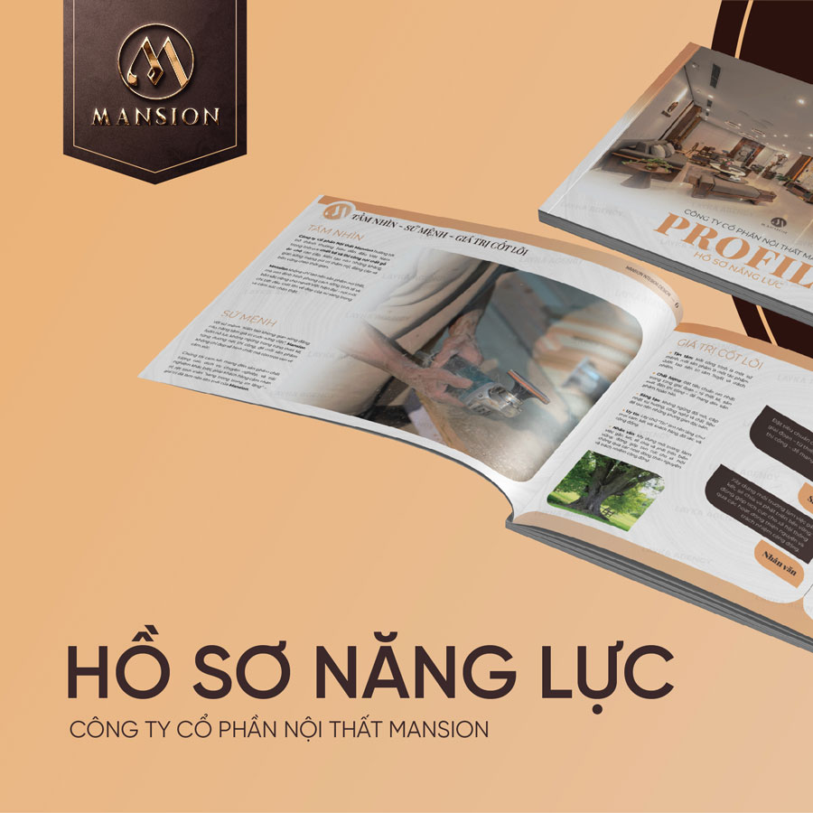 Hồ sơ năng lực là gì 