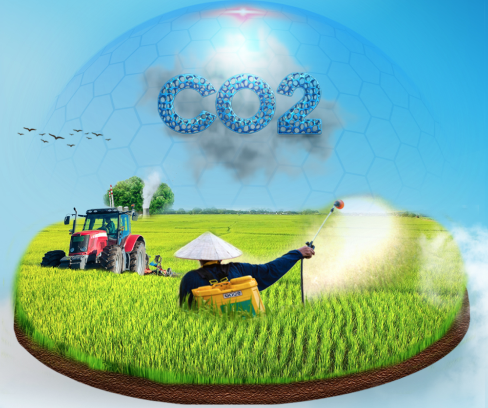 Thiết kế profile ngành nông nghiệp cần lưu ý xu hướng mới: Nông nghiệp Công nghệ cao và Tín chỉ Carbon
